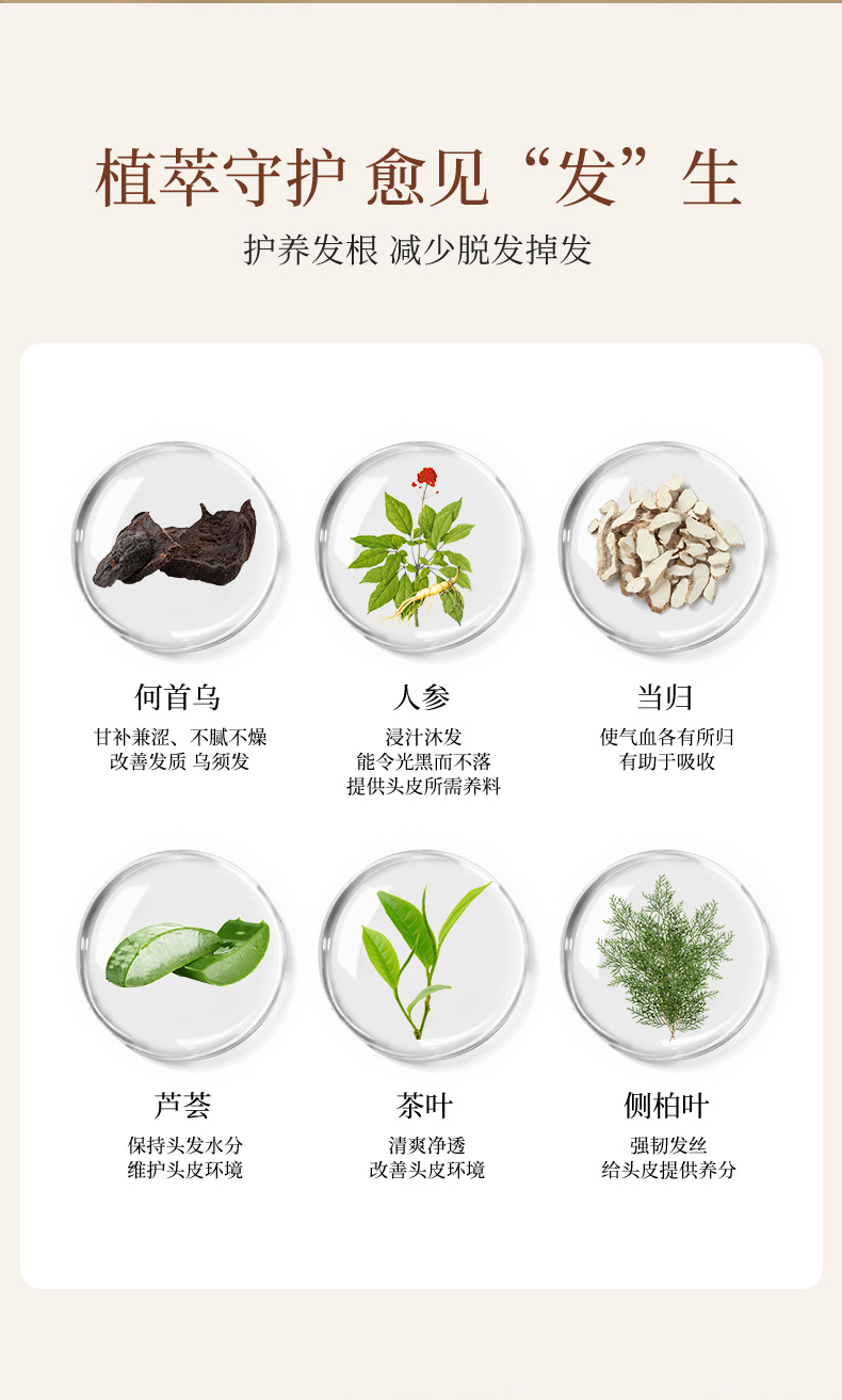 防脱精华液_13